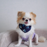 日本製🇯🇵 Hamamonyo 和風手工寵物三角頸巾