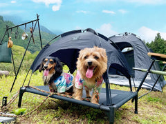 5050WORKSHOP 5050Pet Anml Tent