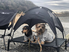 5050WORKSHOP 5050Pet Anml Tent